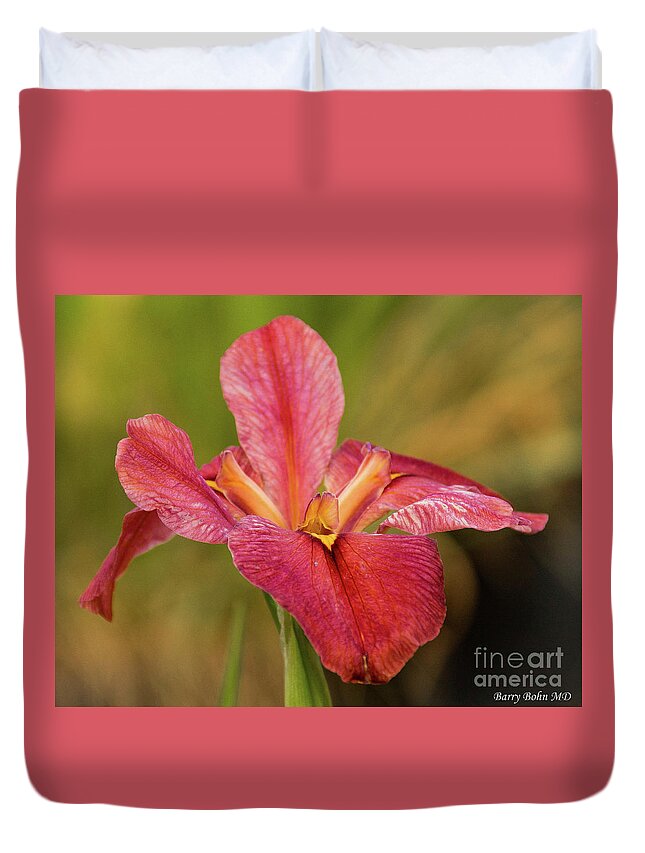 Flower Duvet Cover featuring the photograph Maroon Iris by Barry Bohn