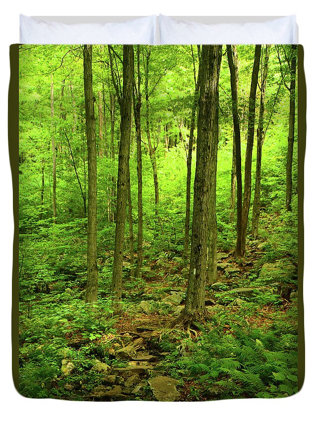 Massachusetts Appalachian Trail Spring Green Duvet Cover featuring the photograph Massachusetts Appalachian Trail Spring Green by Raymond Salani III