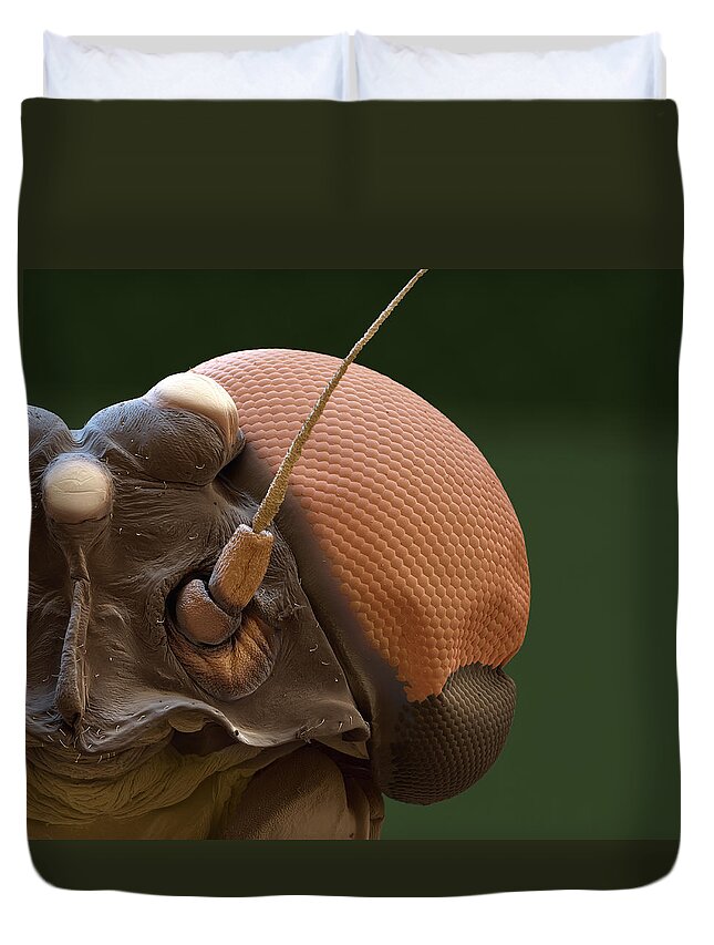 Adult Duvet Cover featuring the photograph Mayfly, Adult, Sem by Meckes/ottawa