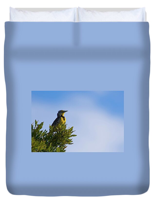 Meadowlark Duvet Cover featuring the photograph Meadowlark's Treetop Perch by T Lynn Dodsworth