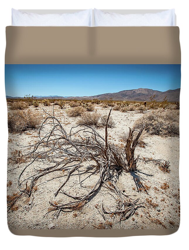 Anza-borrego Desert State Park Duvet Cover featuring the photograph Mesquite in the Desert Sun by Mark Duehmig