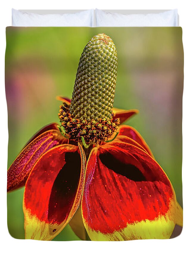 Amicalola-falls Duvet Cover featuring the photograph Mexican hat by Bernd Laeschke