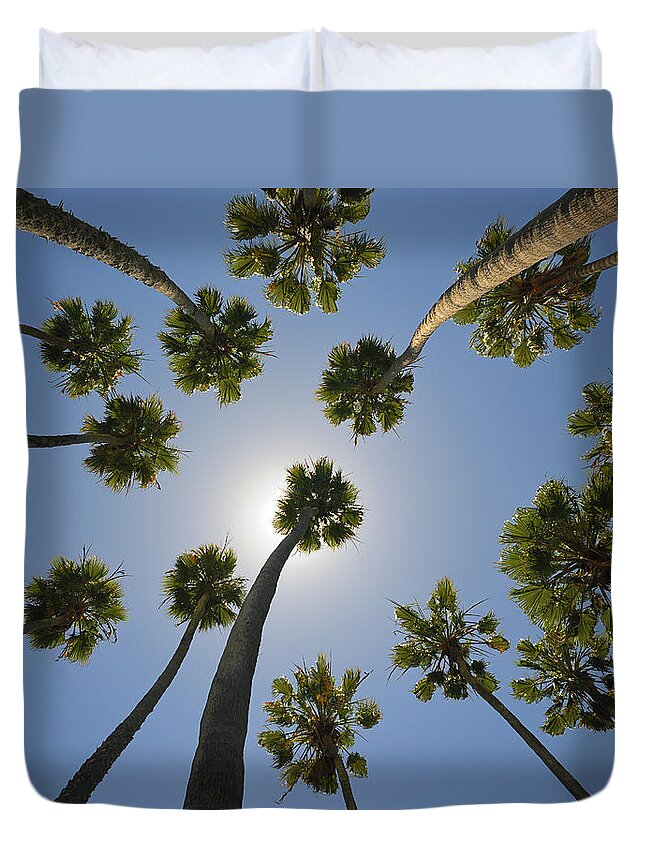 Curve Duvet Cover featuring the photograph Miami, Palm Tree Xxxl by 4fr