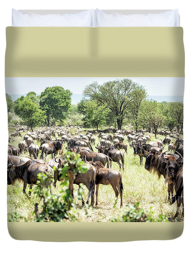 Africa Duvet Cover featuring the photograph Migration In Tanzania by Timothy Hacker