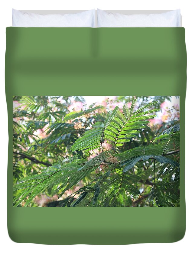 Mimosa Tree Duvet Cover featuring the photograph Mimosa Tree Blooms and Fronds by Christopher Lotito