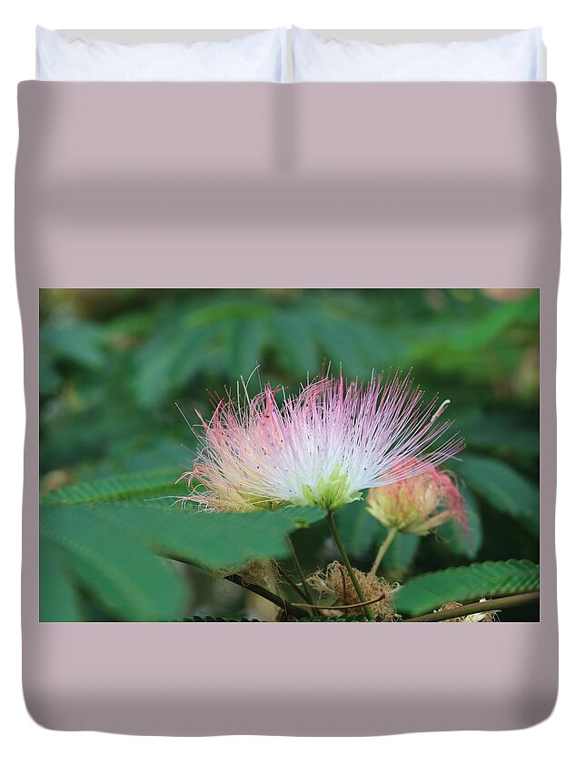 Macro Duvet Cover featuring the photograph Mimosa Tree in Bloom by Christopher Lotito