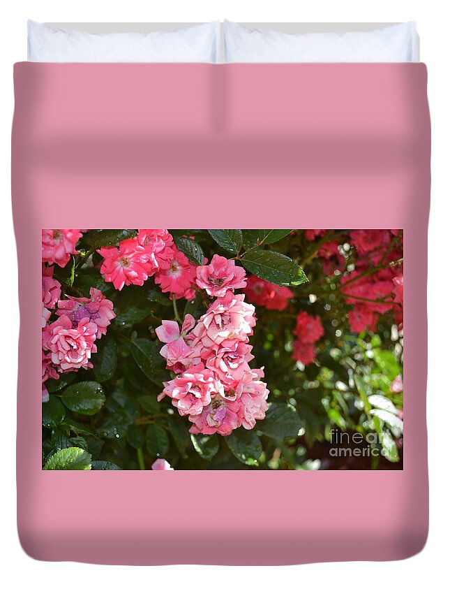 Mini Roses Blooming Duvet Cover featuring the photograph Mini Roses Blooming by Barbra Telfer