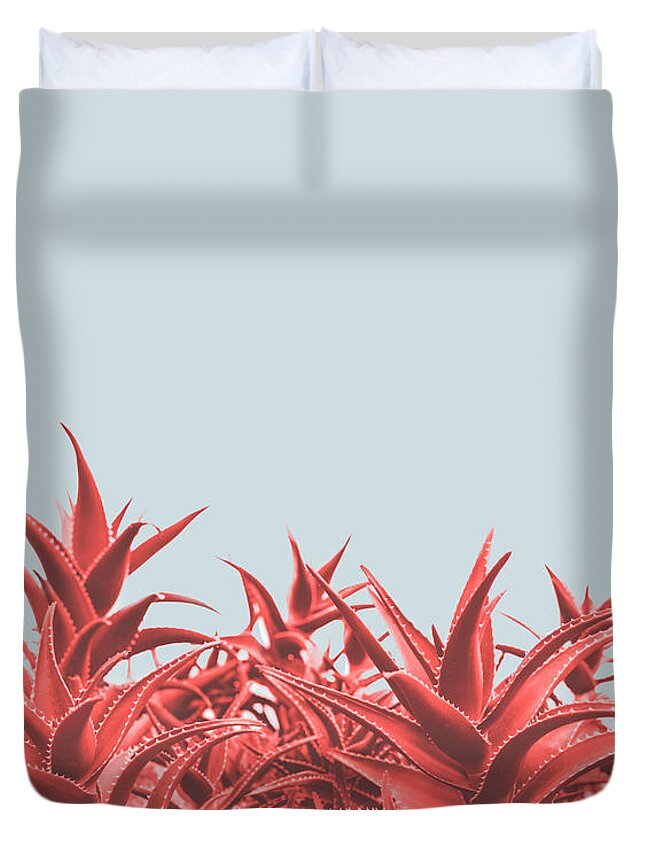 Aloe Duvet Cover featuring the photograph Minimal contemporary creative design with aloe plant in coral co by Jelena Jovanovic
