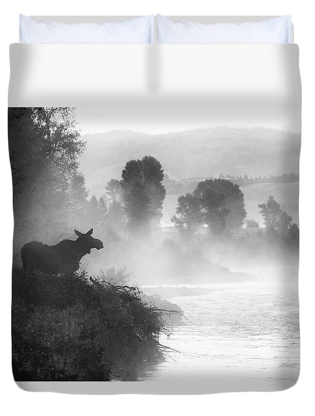 Moose Duvet Cover featuring the photograph Misty Morning Moose by Mary Hone
