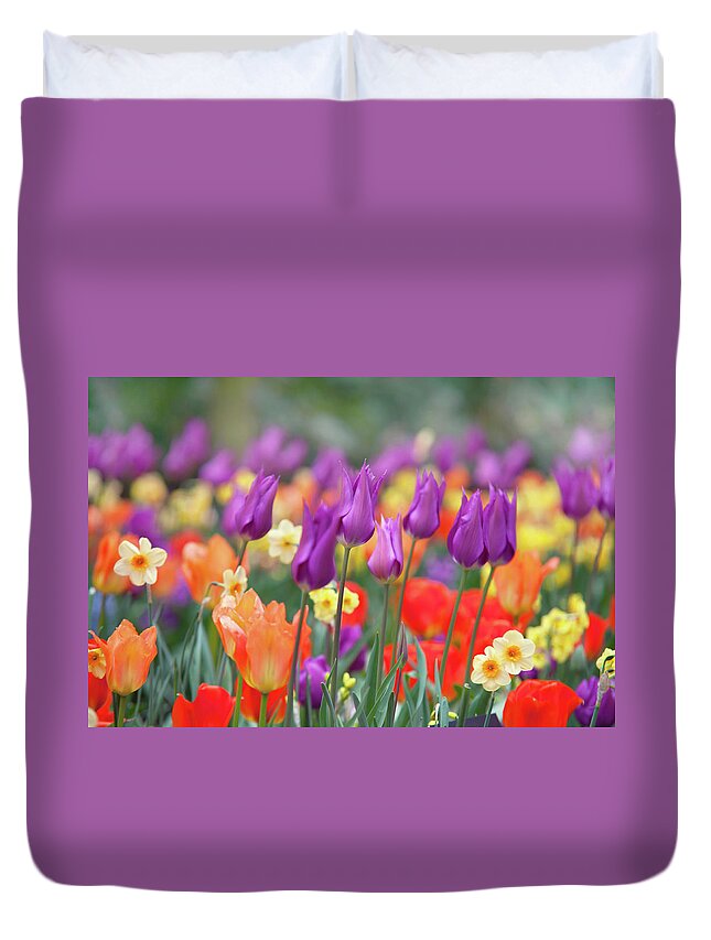Jenny Rainbow Fine Art Photography Duvet Cover featuring the photograph Mix Border with Tulips Purple Dream 1 by Jenny Rainbow