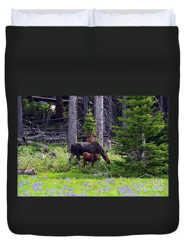 Moose Duvet Cover featuring the photograph Mom and Baby by Dorrene BrownButterfield