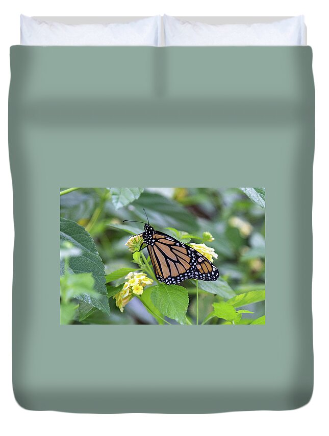 Monarch Duvet Cover featuring the photograph Monarch Moment by Patricia Schaefer