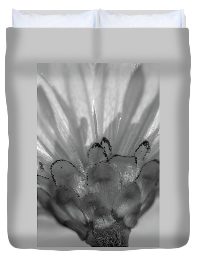Monochromatic Duvet Cover featuring the photograph Monochromatic Magic by Mary Anne Delgado