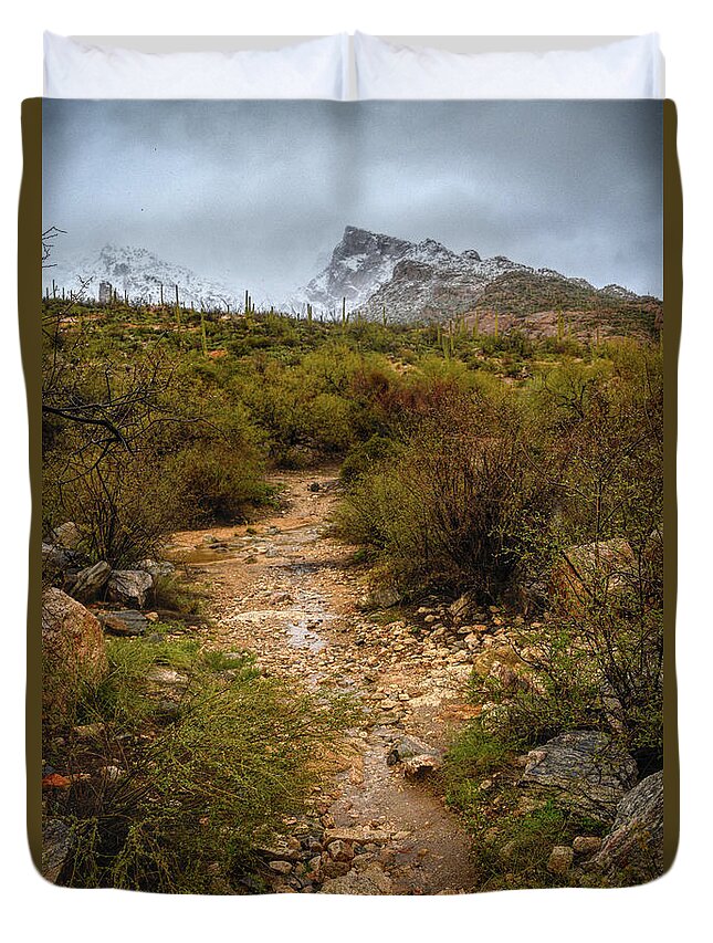 Tucson Duvet Cover featuring the photograph Moody Creekbed by Chance Kafka