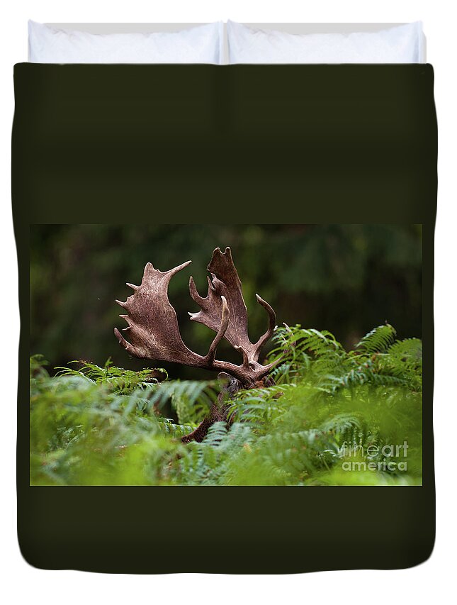 Hiding Duvet Cover featuring the photograph Moose Hiding In Leaves, Wild Park by Rob Janné