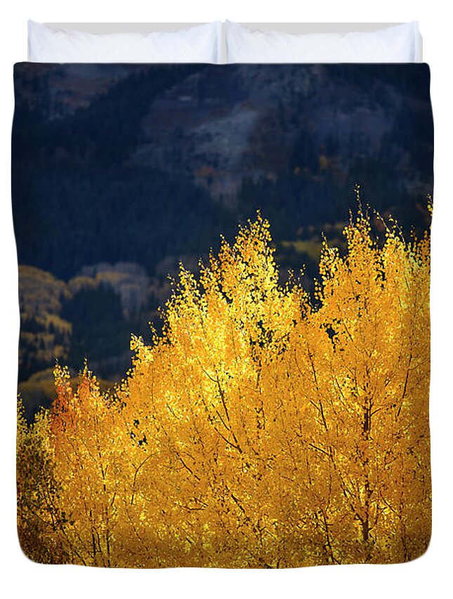 Colorado Duvet Cover featuring the photograph Morning Aspens of Gold by James Covello