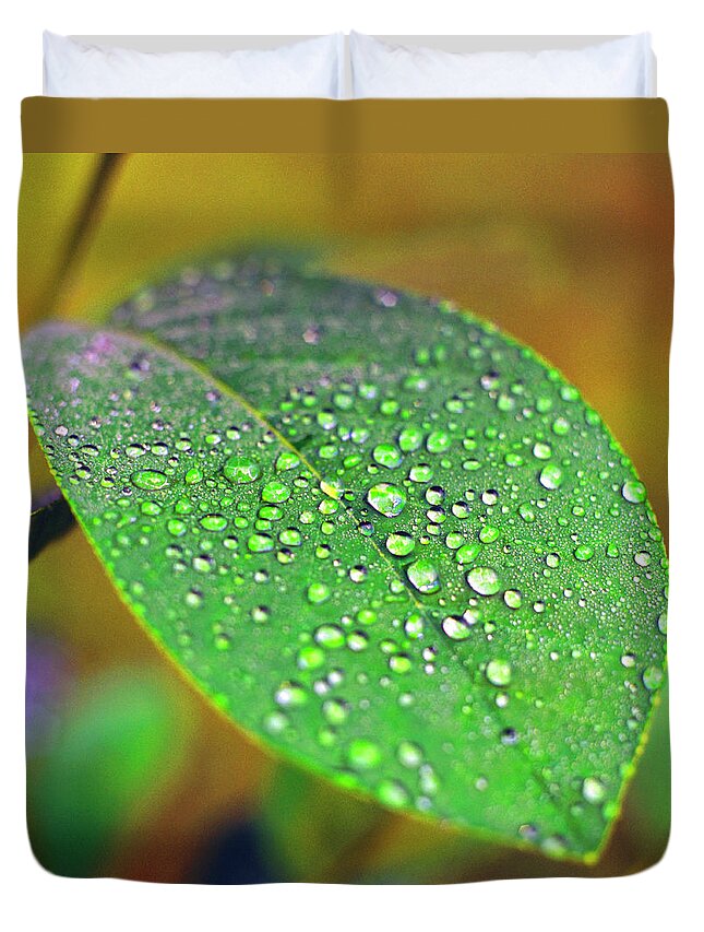 Tranquility Duvet Cover featuring the photograph Morning Dew On Leaf by Richard Felber
