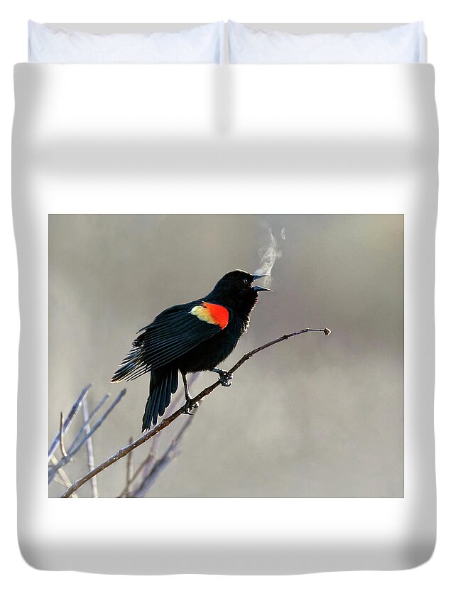 Blackbird Duvet Cover featuring the photograph Morning Heat by Art Cole
