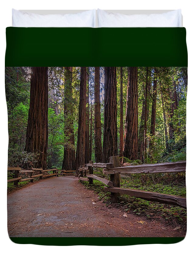 Muir Woods Duvet Cover featuring the photograph Morning in Muir Woods by Kristen Wilkinson