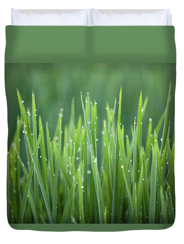 Outdoors Duvet Cover featuring the photograph Morning Rain On Rice by Wesley Hitt