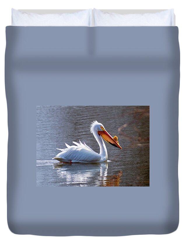 American White Pelican Duvet Cover featuring the photograph Morning Swim by Phil S Addis