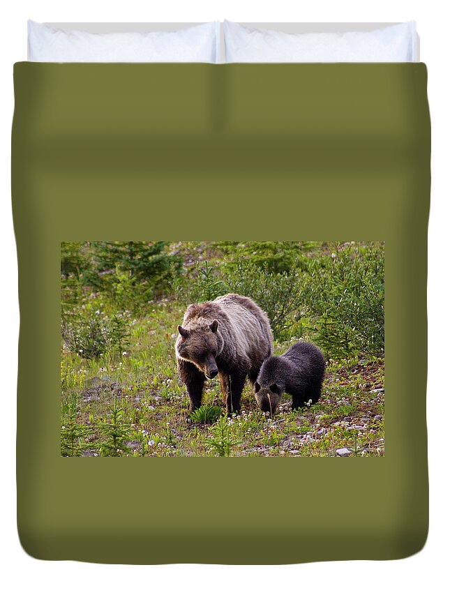 Brown Bear Duvet Cover featuring the photograph Mother Grisly Bear And Cub by Klassen Images