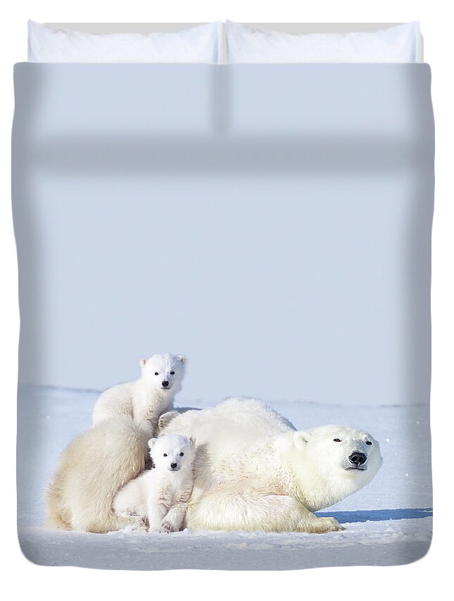 Bear Cub Duvet Cover featuring the photograph Mother Polar Bear With Cubs, Canada by Art Wolfe