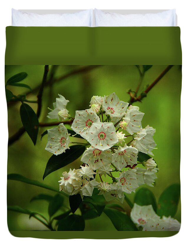 Mountain Laurel In Shenandoah National Park Duvet Cover featuring the photograph Mountain Laurel in Shenandoah National Park by Raymond Salani III