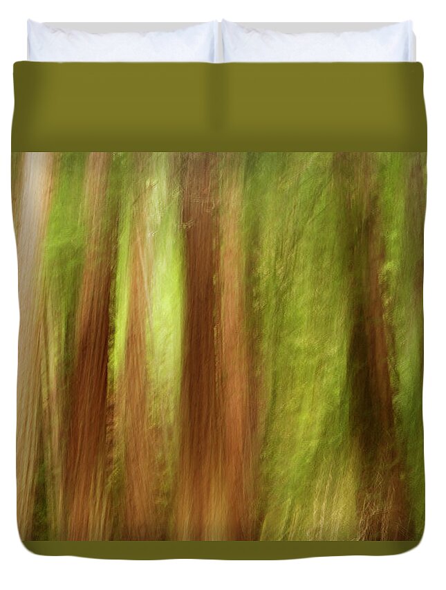 Sebastian Kennerknecht Duvet Cover featuring the photograph Muir Woods Redwoods Abstract by Sebastian Kennerknecht