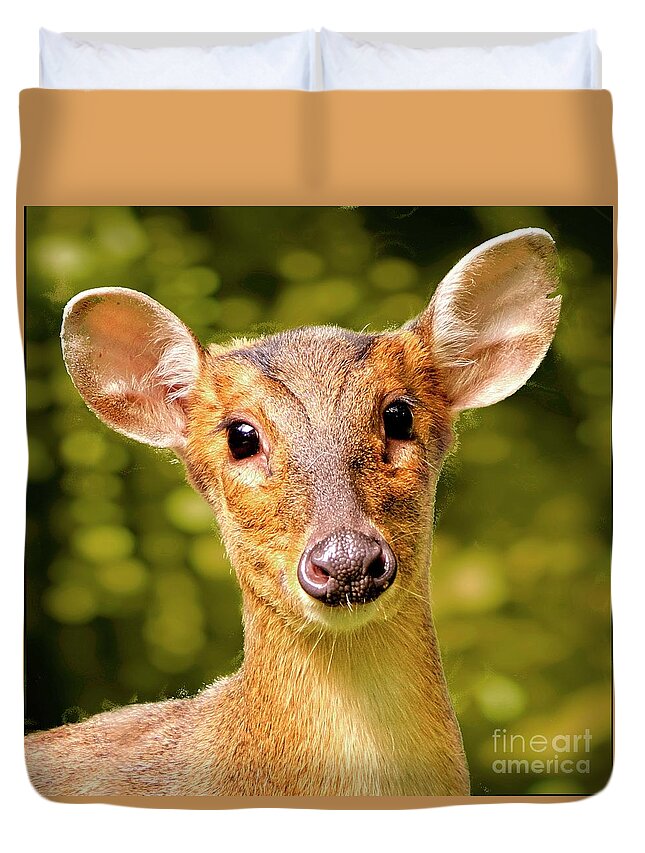 Muntjac Duvet Cover featuring the photograph Muntjac Deer by Martyn Arnold