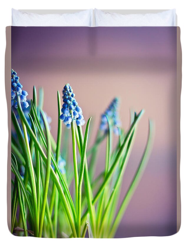 Fragility Duvet Cover featuring the photograph Muscari Flowers Grape Hyacinth by Angelika Kaczanowska