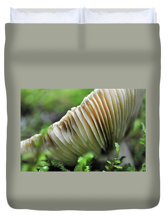 Glacier National Park Duvet Cover featuring the photograph Mushroom Spaceship by Bruce Gourley