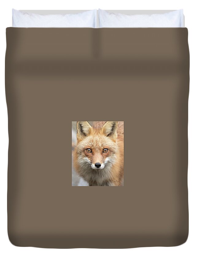 Red Fox Duvet Cover featuring the photograph My Eyes by Everet Regal