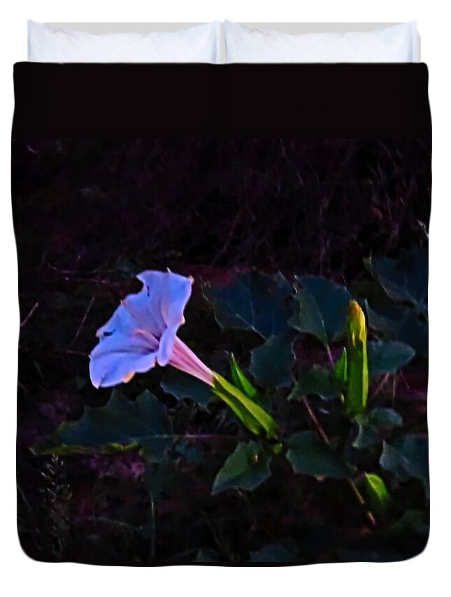 Arizona Duvet Cover featuring the photograph Mysterious Moonflower by Judy Kennedy