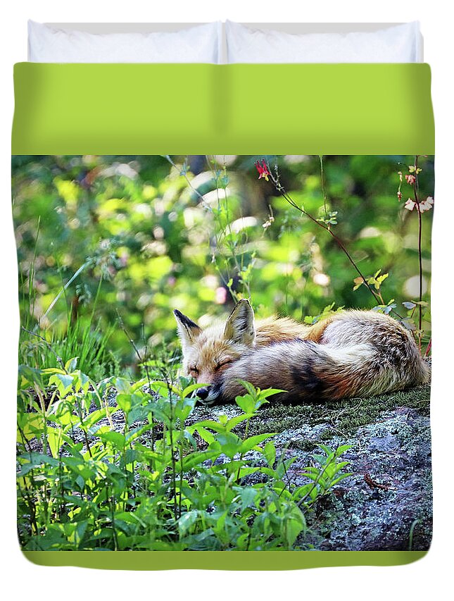 Fox Duvet Cover featuring the photograph Nap Time For Red Fox I by Debbie Oppermann