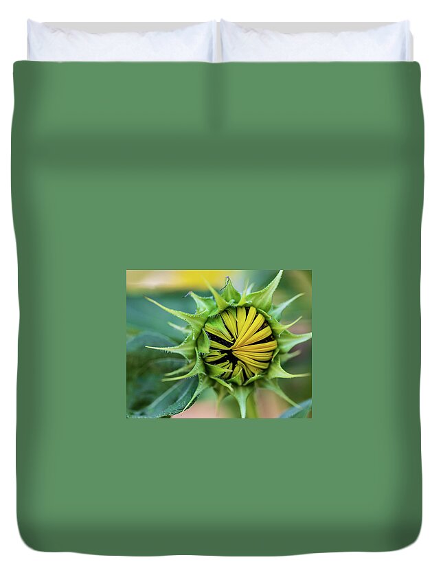 Arboretum Duvet Cover featuring the photograph Nature Photography Sunflower #1 by Amelia Pearn