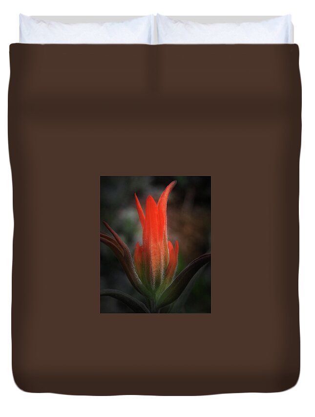 Indian Duvet Cover featuring the photograph Nature's Fire by Brian Gustafson