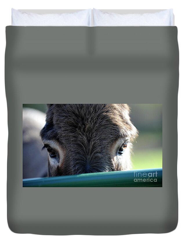 Rosemary Farm Sanctuary Duvet Cover featuring the photograph Nemo's Eyes by Carien Schippers