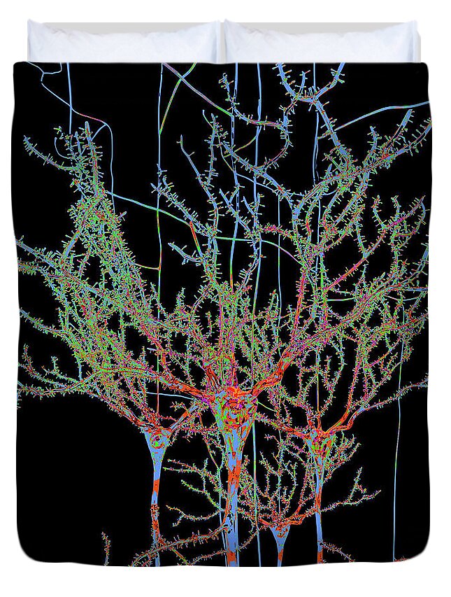 Blue Duvet Cover featuring the digital art Neuron Field Vector Blue Green by Russell Kightley