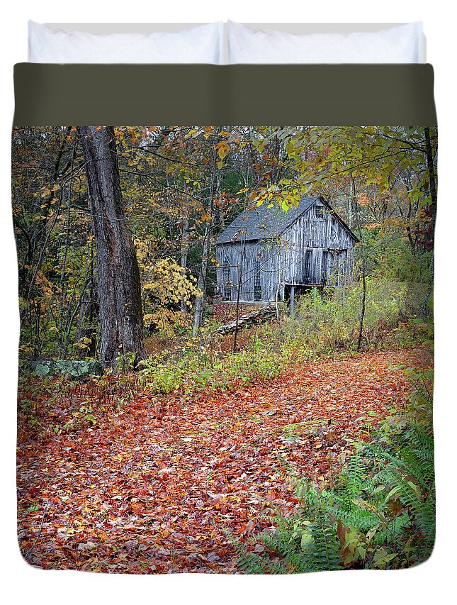 Square Duvet Cover featuring the photograph New England Autumn Woods square by Bill Wakeley