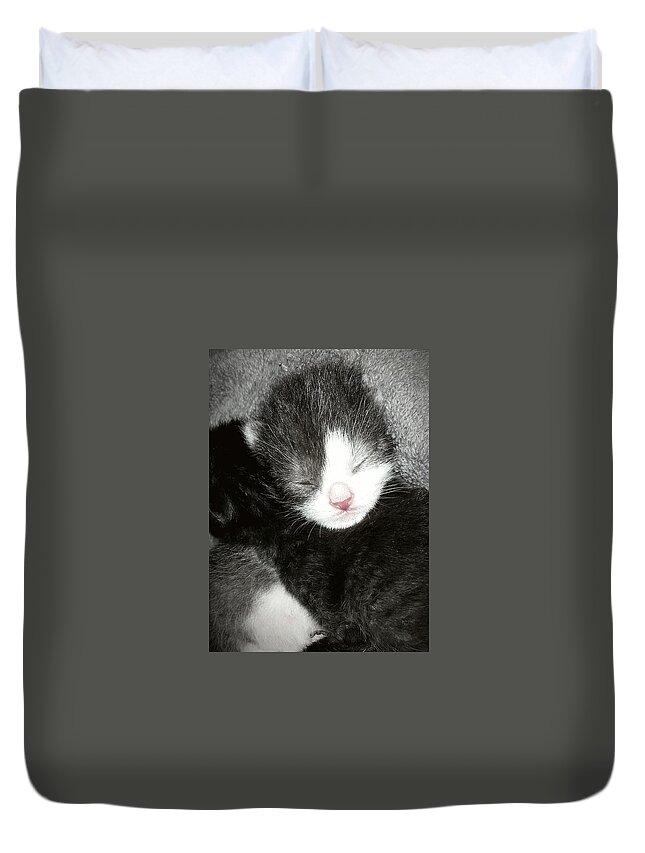 Kitten Duvet Cover featuring the photograph Newborn Kittens Cuddle by Ally White