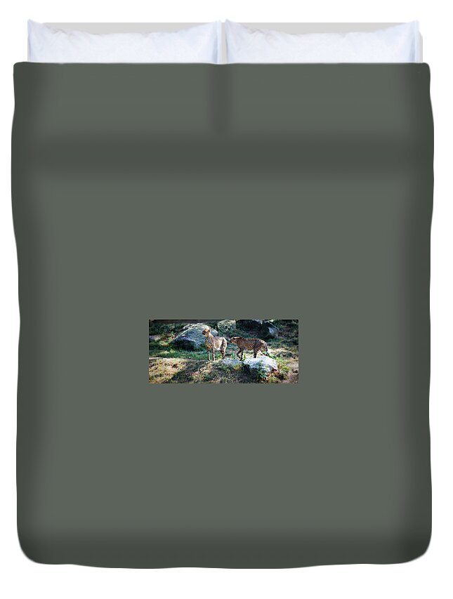 Grass Duvet Cover featuring the photograph Nice Kitty by Carolyn A. Landi