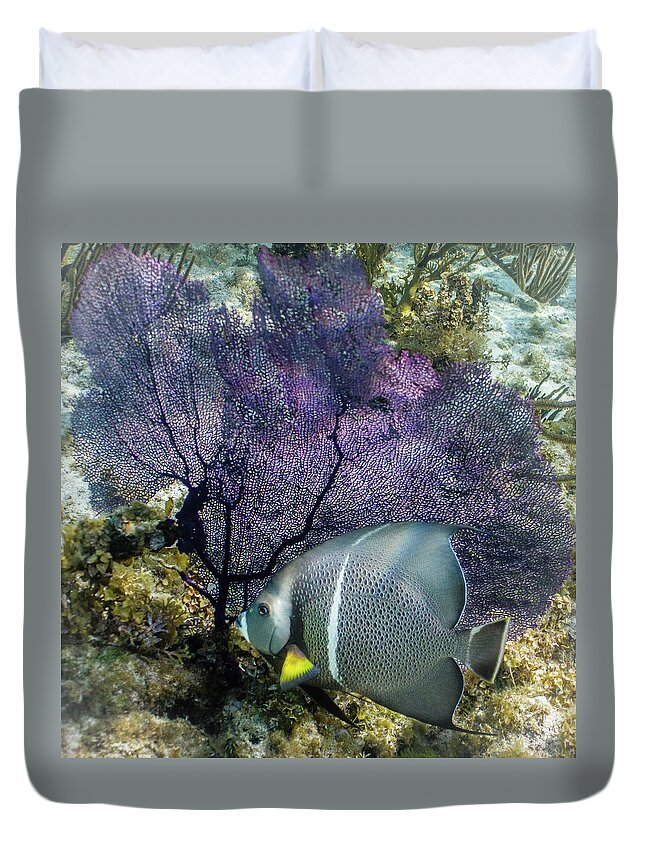 Ocean Duvet Cover featuring the photograph No Gray Skies Here by Lynne Browne