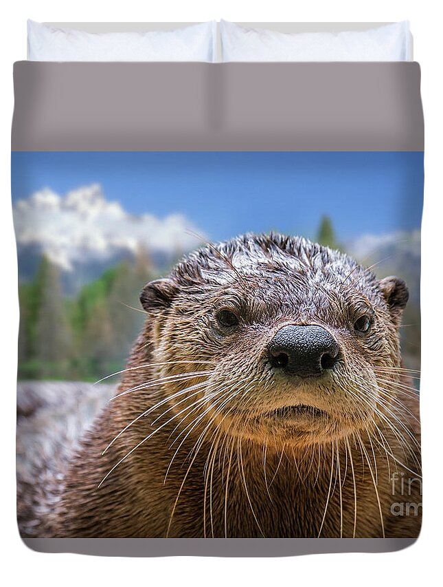 North American River Otter Duvet Cover featuring the photograph North American River Otter by Arterra Picture Library