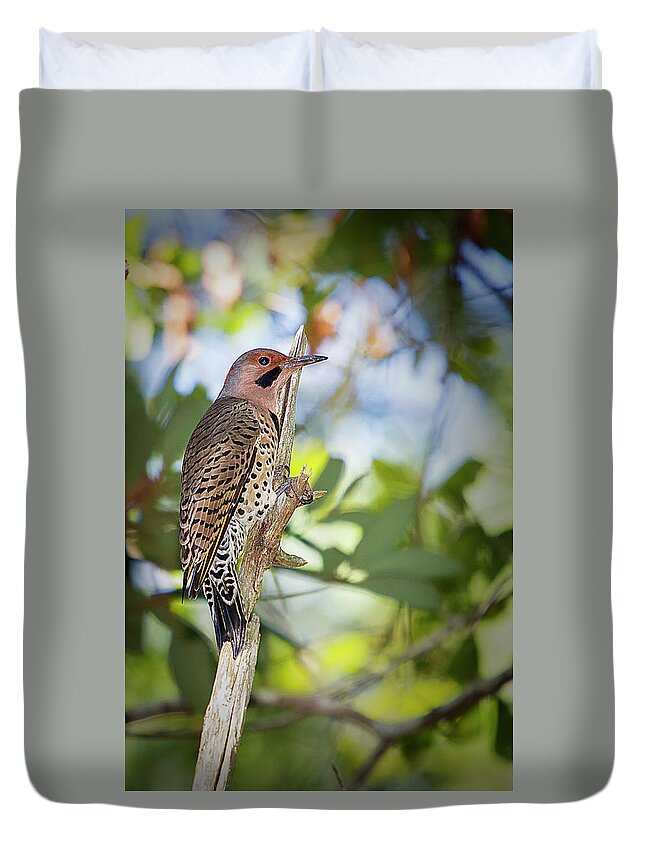 Northern Flicker Duvet Cover featuring the photograph Northern Flicker by Bob Decker