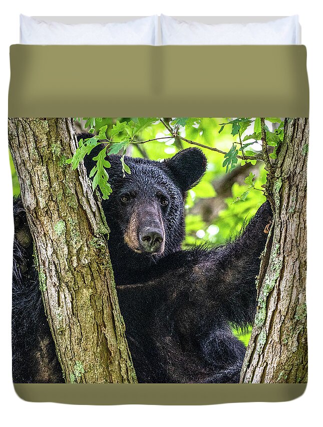 American Black Bear Duvet Cover featuring the photograph Not All Bears Are Created Equal by Marcy Wielfaert