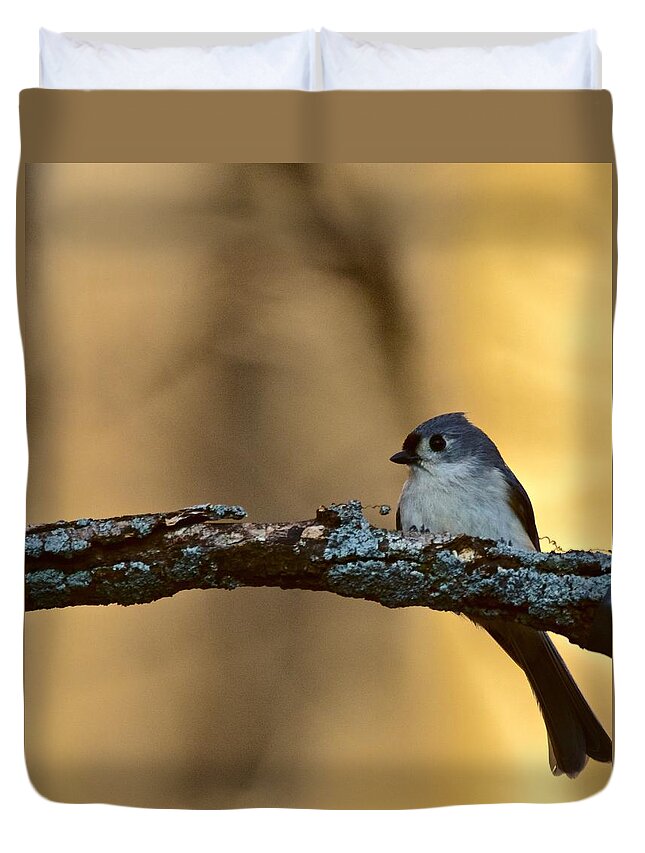 Photography Duvet Cover featuring the photograph Nuthatch by Jeffrey PERKINS