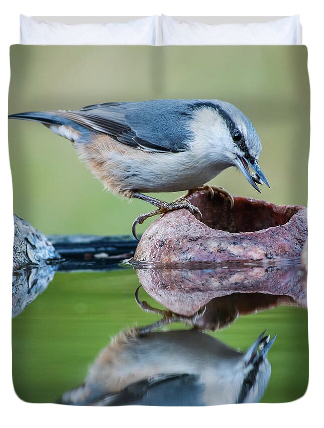 Nuthatch Duvet Cover featuring the photograph Nuthatch's catch by Torbjorn Swenelius
