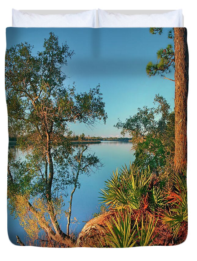 00546371 Duvet Cover featuring the photograph Ochlockonee River State Park, Florida by Tim Fitzharris