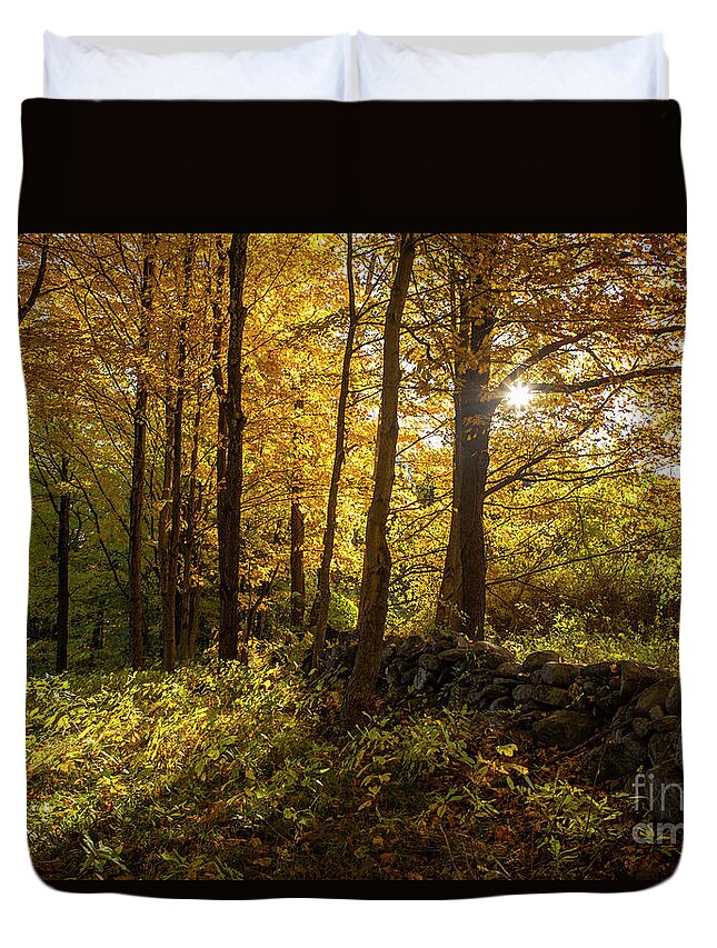 Autumn Duvet Cover featuring the photograph October Morning by Diane Diederich